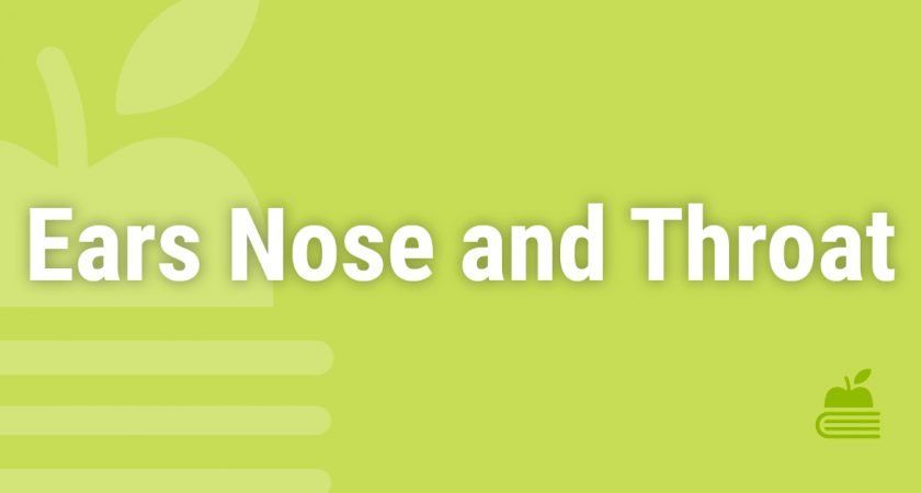 10. Ears/Nose/Throat