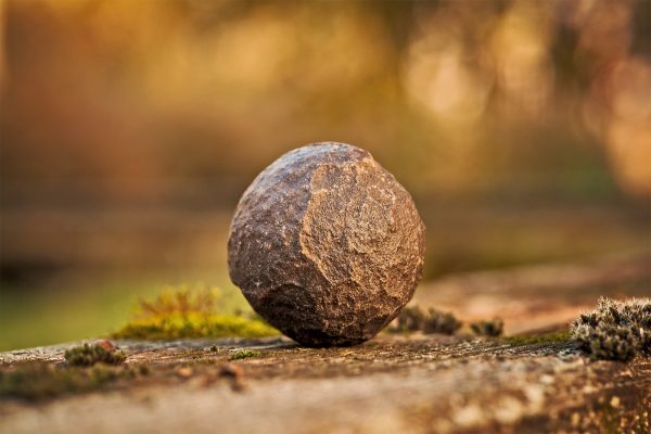 12. Your PET rOCK of Control