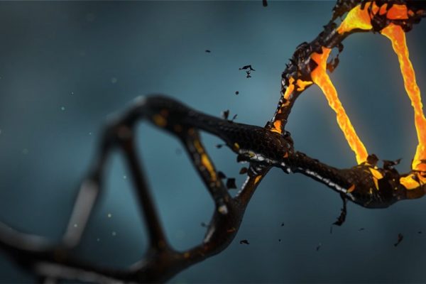 11. The Molecule of Your Life
