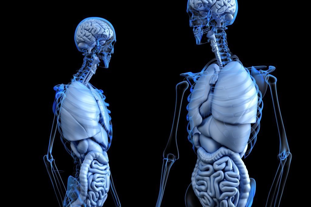 19. More about our Physical Body