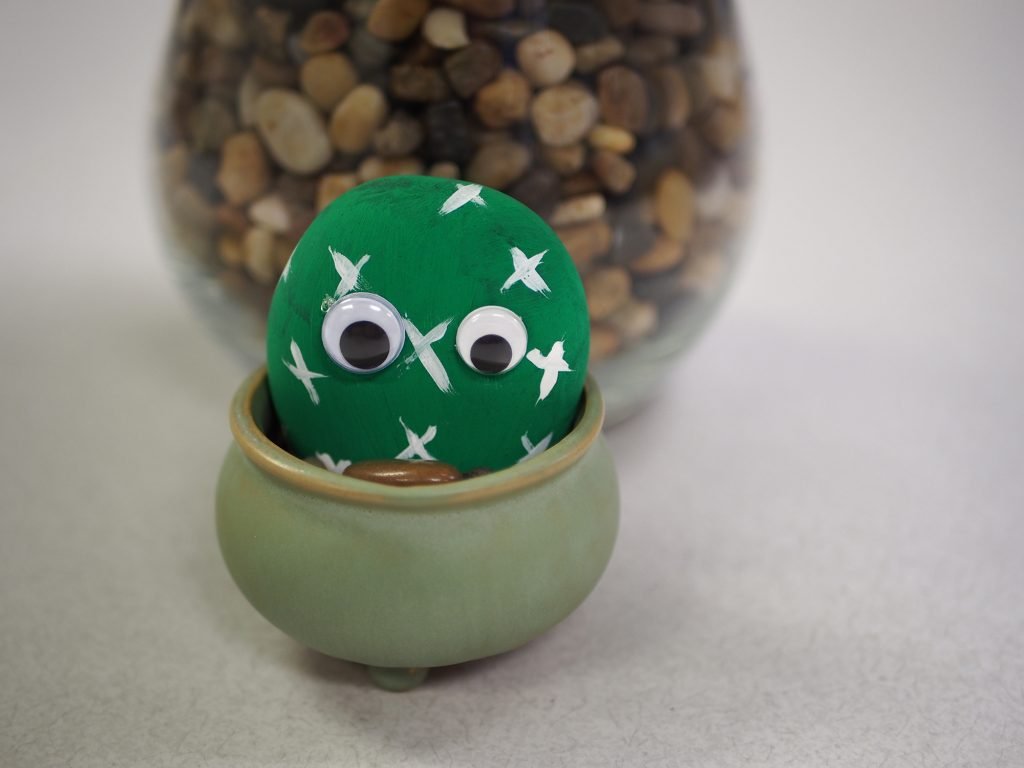 18. Introducing My PET ROCK